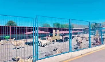 Erzurum örnek oldu
