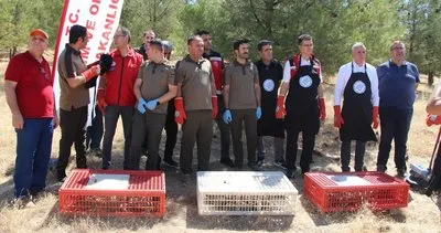 Şanlıurfa'da doğaya keklik salındı #sanliurfa