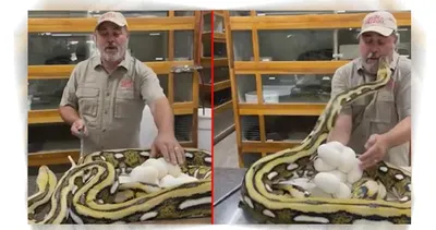 Dev piton yılanı aniden bakıcısına saldırdı… Dehşete düşüren anlar!