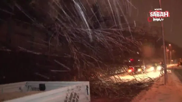 İstanbul Sarıyer'de aşırı kardan dolayı savrulan ağaç yola devrildi | Video