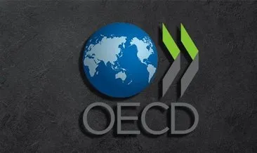 OECD: Karşılaştırılabilir veri eksikliği sürdürülebilir yatırımları yavaşlatıyor