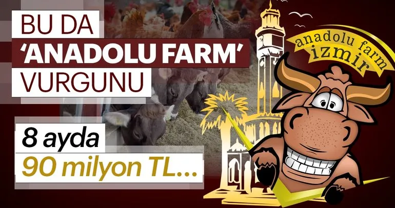 Son dakika: Ortaya çıktı! Anadolu farm ile 8 ayda 90 milyon lira toplamışlar