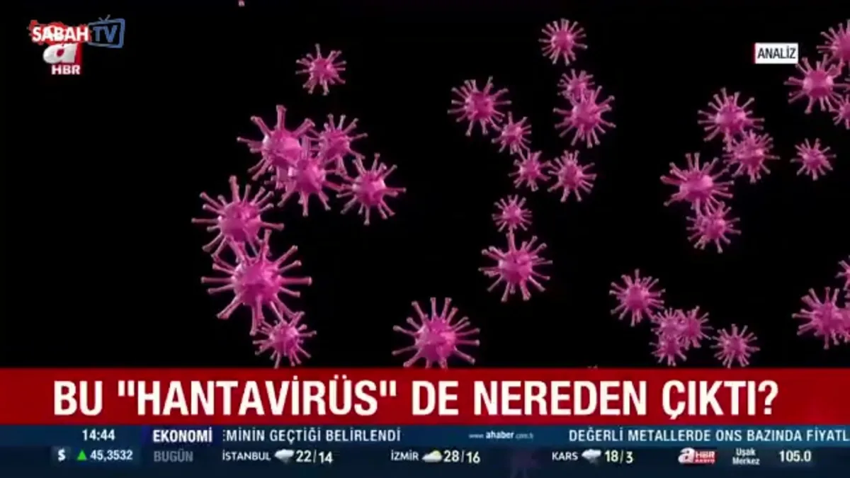 Hantavirüs biyolojik silah mı? Burhan Aytekin yazdı videosunu izle Hantavirüs biyolojik silah mı? Burhan Aytekin yazdı videosunu izle