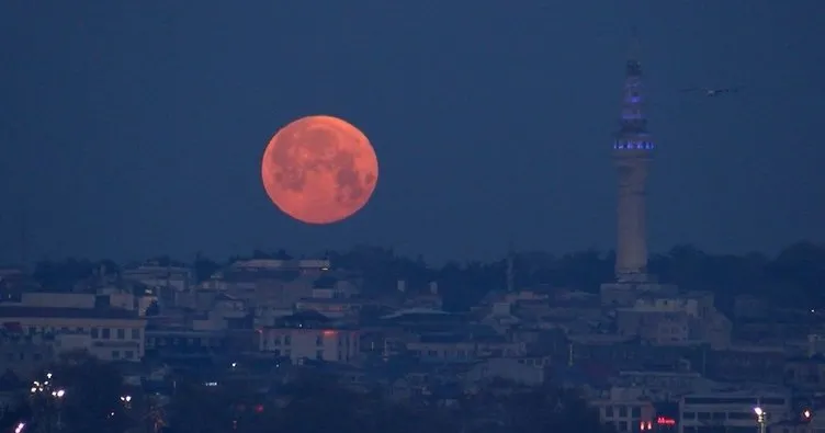 Pembe ay görenleri büyüledi