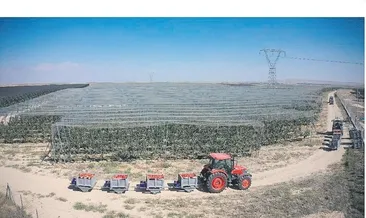 Piliç devinden tarım hamlesi