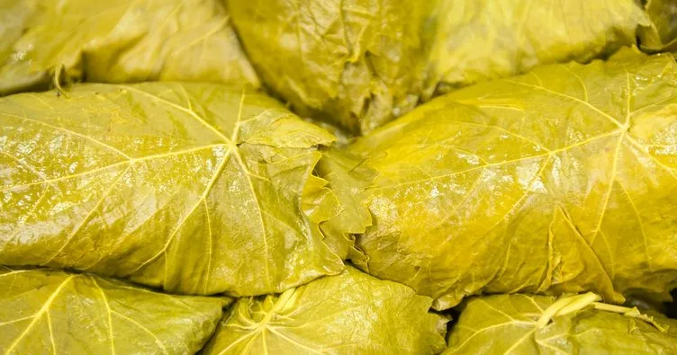 Asma Yaprağı Salamura kaç kalori?