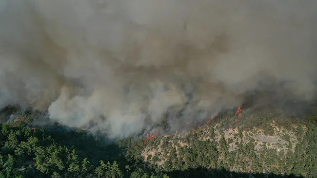 karabuk-ve-kastamonuda-orman-yangini-kara-yolu-ulasima-kapatildi-1756828513512.jpeg Karabük ve Kastamonu’da orman yangını: Kara yolu ulaşıma kapatıldı!