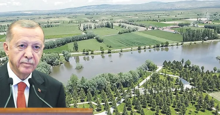 Vakit kaybetmeden dönüşümü başlatın