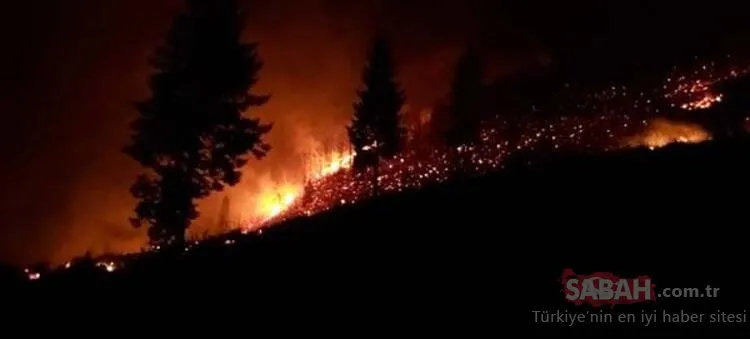 Karadeniz'de 26 noktada orman yangını: 5 ev kül oldu, tarım arazileri zarar gördü