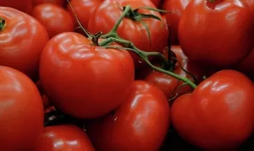 İstanbullular en çok domates aldı