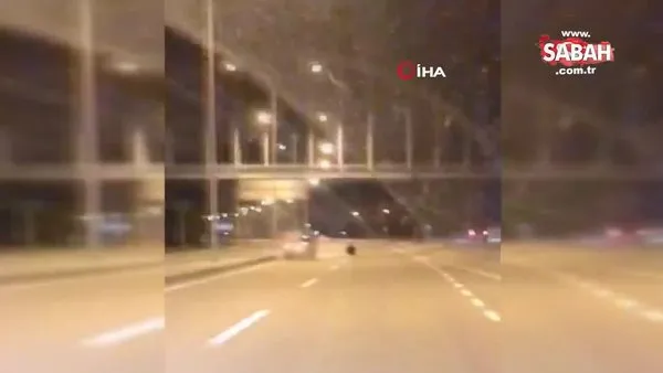 Otoyolda yol ortasına oturan kadın, ölüme davetiye çıkardı | Video