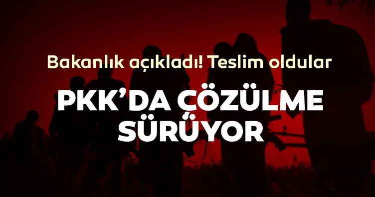 Bakanlık duyurdu! PKK’da çözülme devam ediyor... 5 terörist teslim oldu