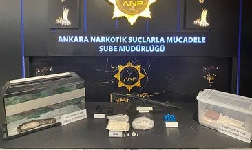 Uyuşturucu operasyonunda 2 piton, 1 mısır yılanı bulundu #ankara