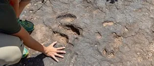 167 milyon yıllık sır ortaya çıktı! Bakın ortaya çıkan hazine neymiş...