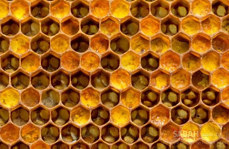 Bir damlası kanser ile savaşmasına yetiyor! İşte arı sütünün mucizevi yararları...