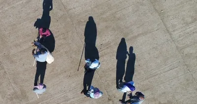 Küçükbaş kurbanlıklara ’büyük’ ilgi