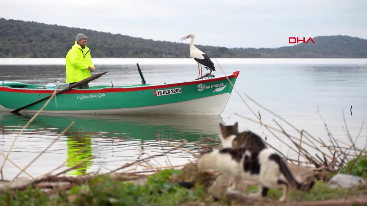 Yaren Leylek ile Adem Amca, 15’inci kez buluştu | Video videosunu izle Yaren Leylek ile Adem Amca, 15’inci kez buluştu | Video videosunu izle