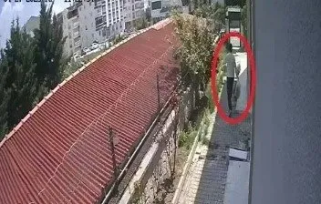 Evine canlı giren 8 yavru köpek poşetle çıktı! Vicdansız doktor davasında yeni gelişme!