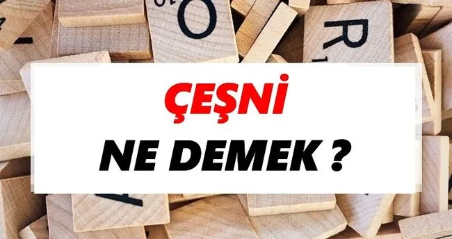 Çeşni Ne Demek? TDK’ya Göre Çeşni Sözlük Anlamı Nedir?