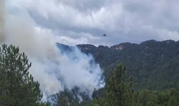 97 orman yangınına 15 tutuklama