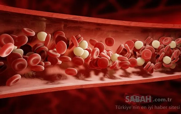 Bir kez yemek bile yetiyor…