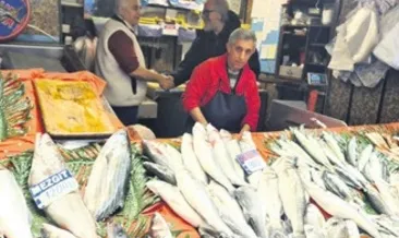 Mavi vatanın ihracat gücü büyüyor