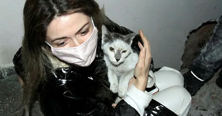 Depremde kaybolan kedisine kavuştu