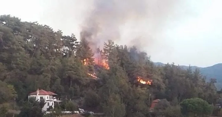 Son dakika: Muğla’daki orman yangını kontrol altına alındı!