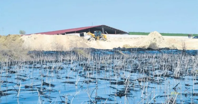 Asfalt fabrikasına ÇED kilidi vuruldu