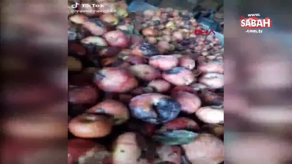 Bakanlıktan skandal çürük elma görüntüleriyle ilgili flaş açıklama | Video