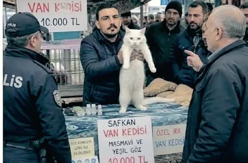 dunya-kupasinin-en-guzel-hikayesi-1784391743721.jpeg