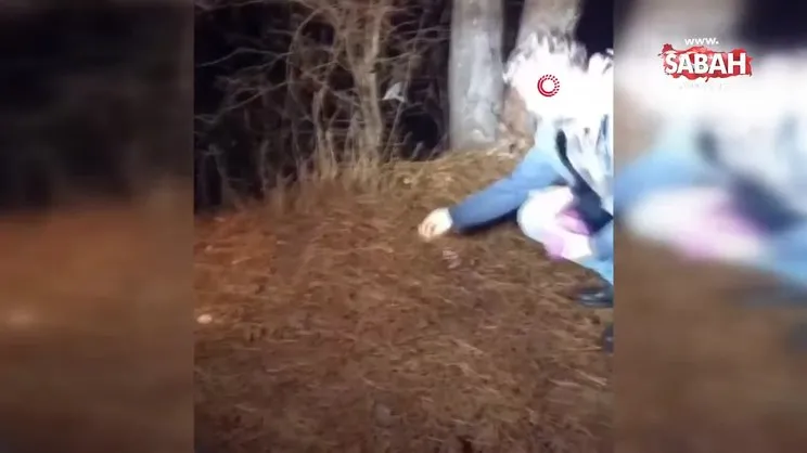 Yiyecek arayan tilkiyi köpek mamasıyla besledi | Video