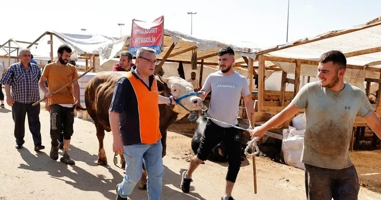 İstanbul’da Tarım ve Orman Müdürlüğü kurban kesim yerlerini denetledi