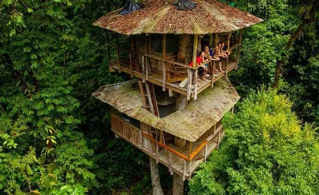Kosta Rika’daki muhteşem ağaç oteli