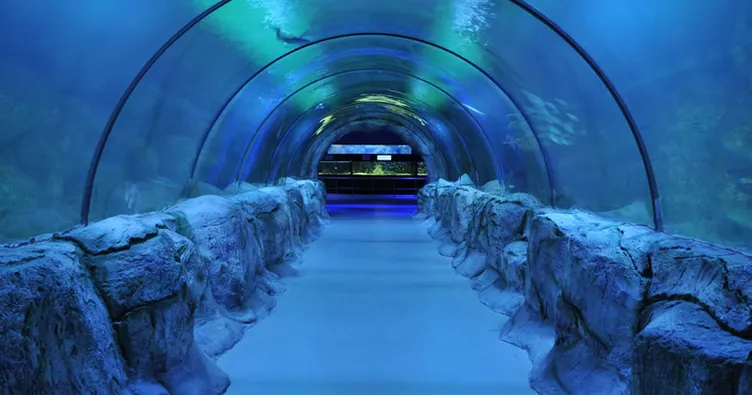 İlklerin akvaryumu ihmal kurbanı