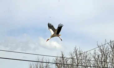 Denizli’deki depremde dikkat çeken detay