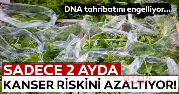 Mucize besin sadece 2 ayda kanser riskini azaltıyor... İşte kanserden koruyan adeta ömür uzatan besinler ve faydaları...