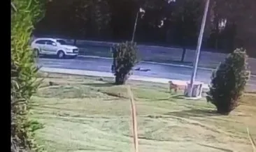 Köpeklerden kaçarken araba çarptı: 10 yaşındaki çocuk öldü...