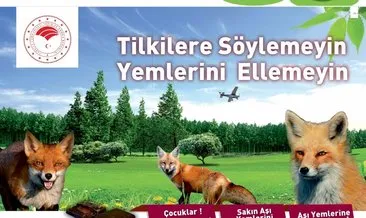 Tilkiler havadan aşılanacak
