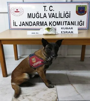 Burdur Yatagan Otobus