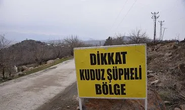 Şanlıurfa’da kuduz köpek paniği: Mahalle karantinaya alındı! #sanliurfa