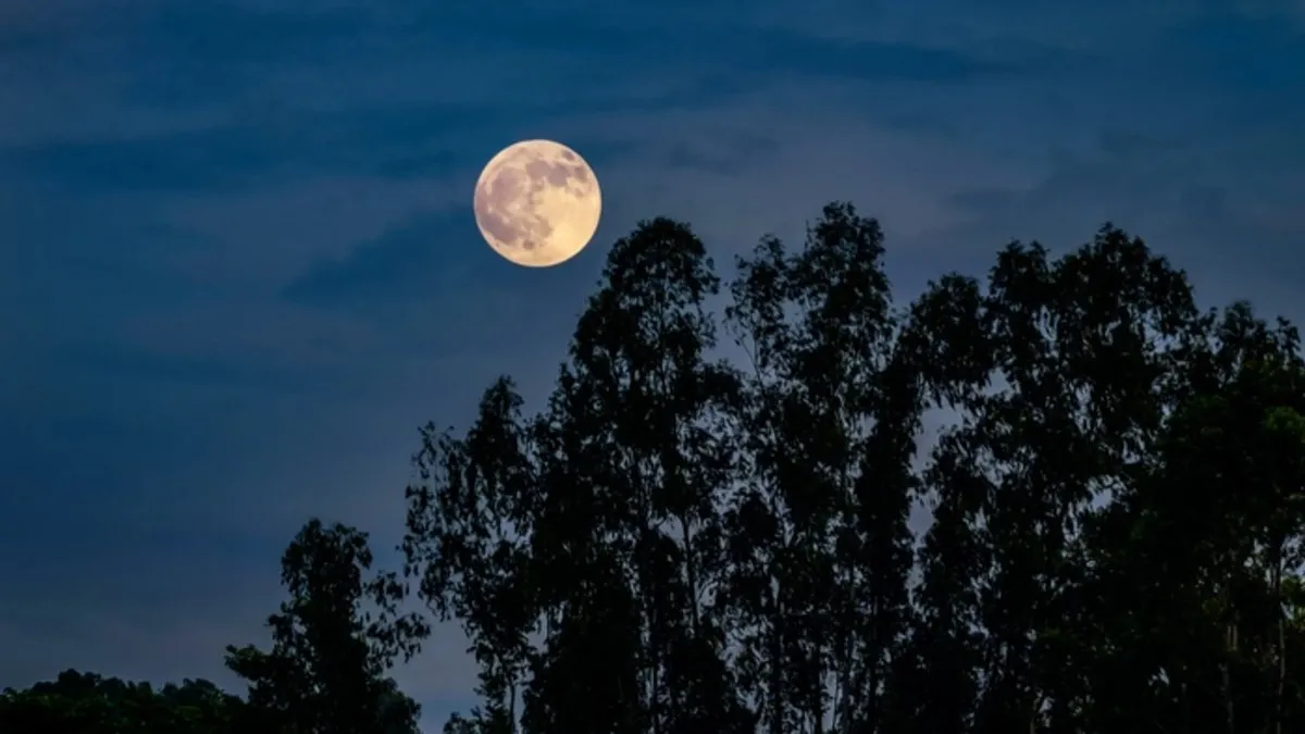 Kunduz Dolunayı nedir, ne zaman ve saat kaçta başlıyor? İşte son 6 yılın en büyük Süper Ay’ının burçlara etkileri Kunduz Dolunayı nedir, ne zaman ve saat kaçta başlıyor? İşte son 6 yılın en büyük Süper Ay’ının burçlara etkileri