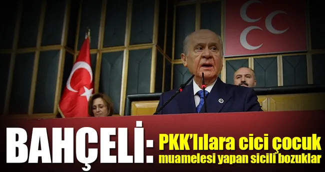 Bahçeli: Değişiklik önerileri makul