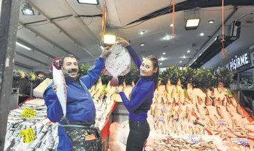 Balık hakkında her şey