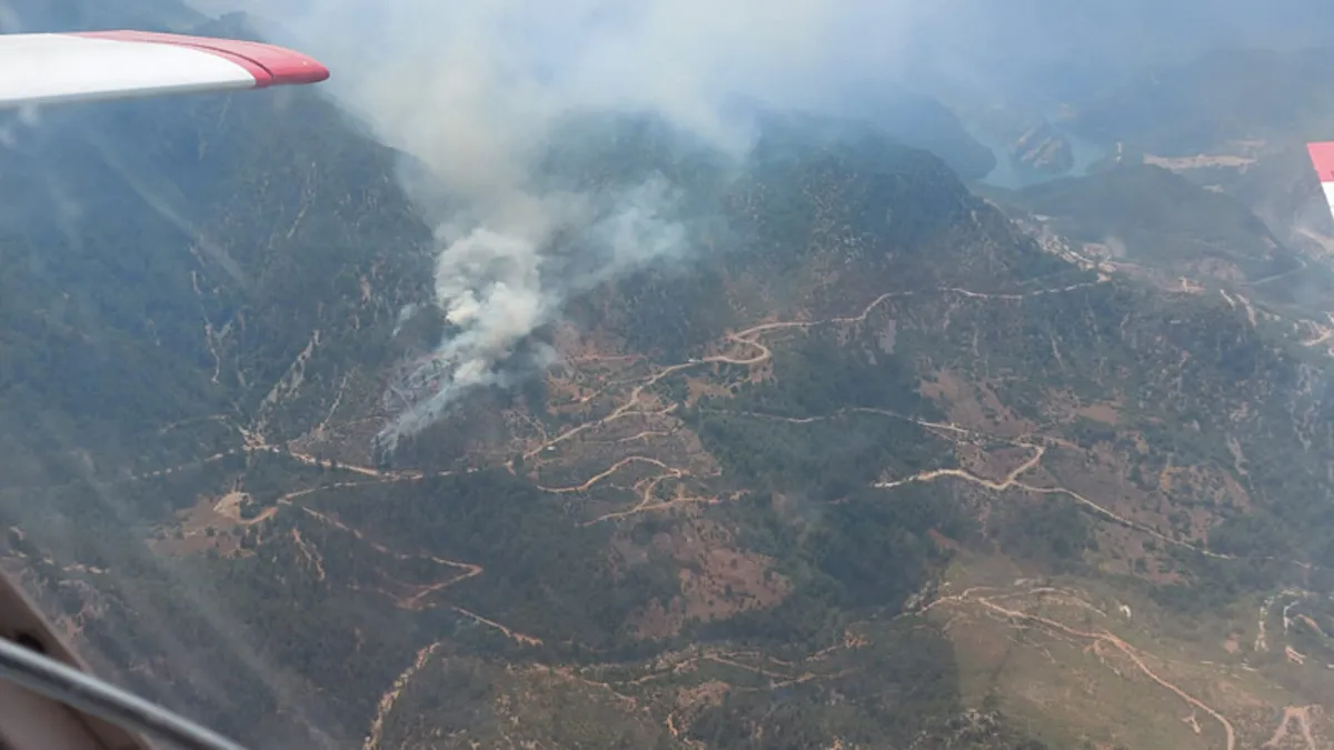 Adana’daki orman yangını kontrol altına alındı Adana’daki orman yangını kontrol altına alındı
