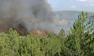 Kütahya’da orman yangını