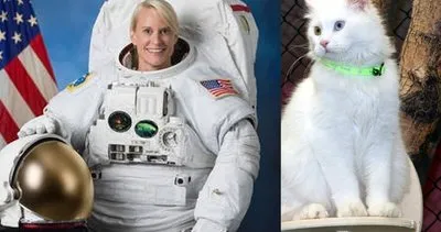 Van Gölü NASA yarışmasında 1. seçilmişti! Astronot Kate Rubins’e Van kedisi sürprizi!