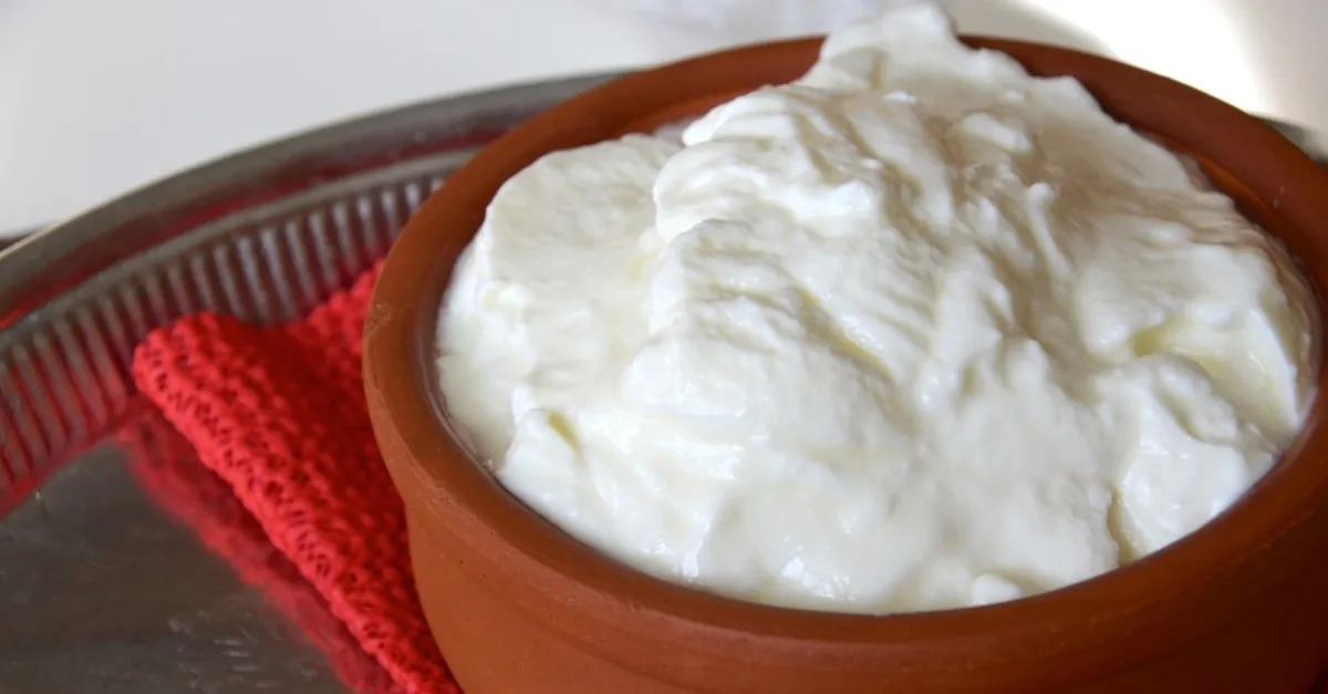 unlu kanser uzmanindan uyari geldi ev yogurdu hazir yogurttan daha saglik haberleri
