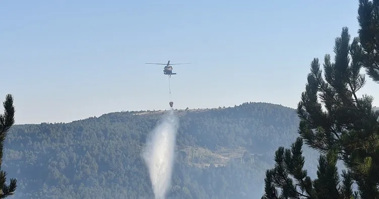 Afyonkarahisar’daki orman yangını kontrol altına alındı