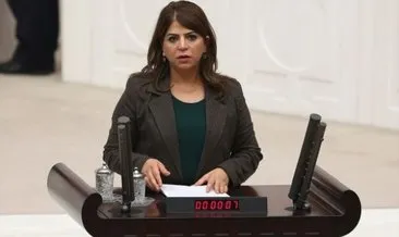 HDP’li Sibel Yiğitalp’e 26 yıla kadar hapis istemi